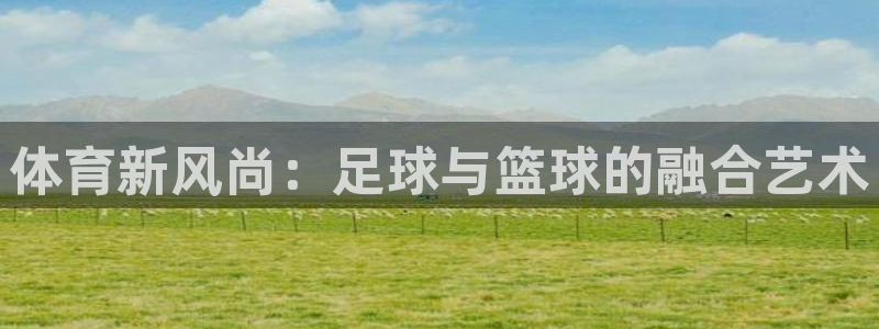 tpwallet官网下载平台是正规平台吗知乎:体育新风尚:足