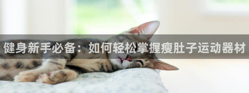 tp官方正版app娱乐平台:健身新手必备:如何轻松掌握瘦肚子